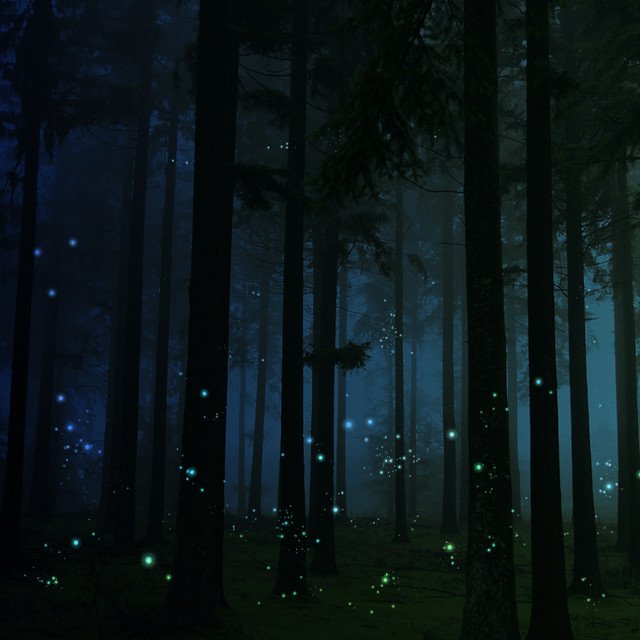 The night was so dark
As I ran through the wood
I stumbled &amp;fell
Hands &amp;knees ran with blood

But despair was dispelled
I perceived a dim light
So following closely
I ran through the night

The magical creature
Who came to my cry
&amp;Ushered me homewards
The humble #firefly

#vss365