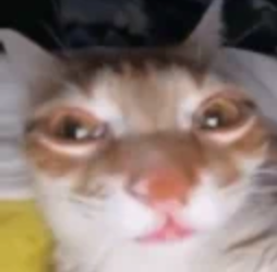 Its_Friez's tweet photo. Im streaming https://t.co/HV5ljdMpD7