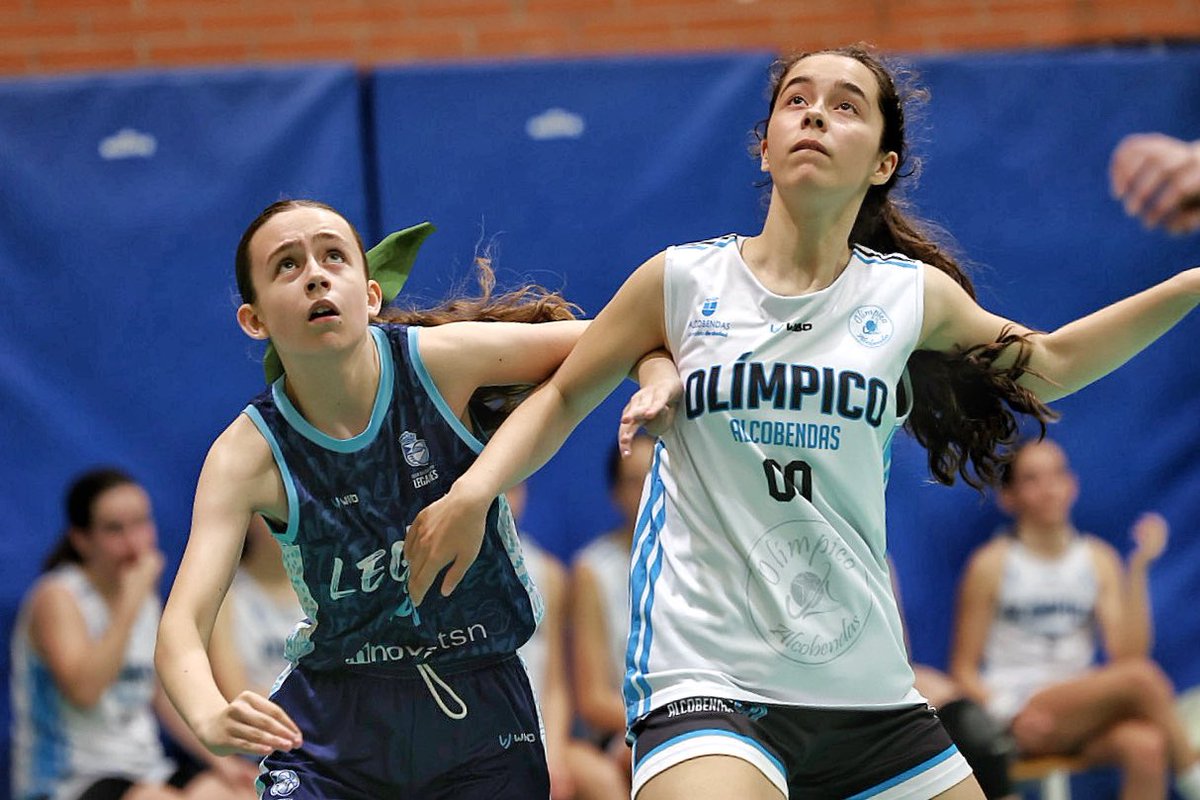 FBMadrid's tweet photo. #LigaAhorramas | Al descanso en el Pedro Ferrándiz, @olimpicocb 40 - @basketleganes 18. Infantil femenino, Grupo C. 

📊 Síguelo en @SwishAllHoops: https://t.co/eR5t7l3ahM https://t.co/5CWLGbUgII