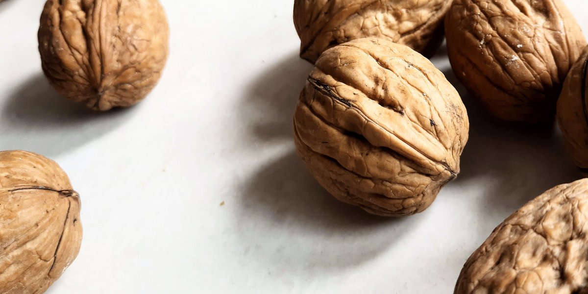 Handful of nuts enhances the nootropic effects of physical training. ergo-log.com/handful-of-nut…