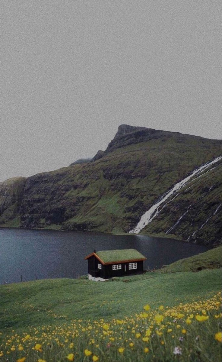 𝕰𝖑𝖊𝖒𝖒𝖎𝖗𝖊 (@elemmiressoul) on Twitter photo 