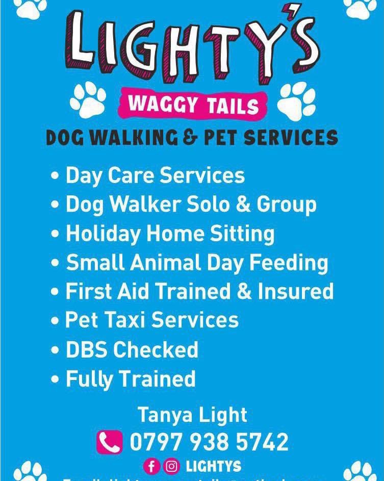 Based on the New Forest 🌳. Friendly and loyal service for all your pets needs. Feel free to contact me.