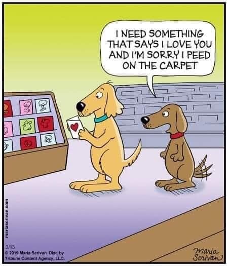 Rob_the_Runner's tweet photo. @ruskin147 A bit late but I saw this and think it is just so ‘doggo’ https://t.co/cNhHnBX2bF