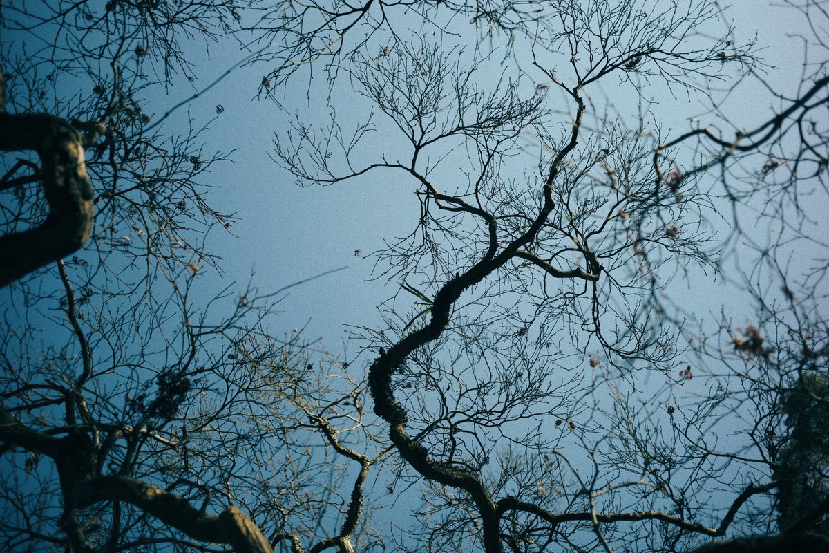 matsudaphoto's tweet photo. LEICA M-P240ブラックペイント
Elmarit 28mm f2.8 4th📸
#LEICA
#mp240 https://t.co/49aZ5US7yx