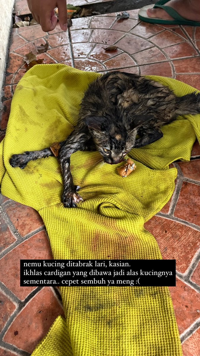 belachastine's tweet photo. Disekitar jalan cihapit bandung, halte dekat jalan wr. supratman no.17 @PemadamOfficial @BandungInfo3 https://t.co/kqYyz48SLo