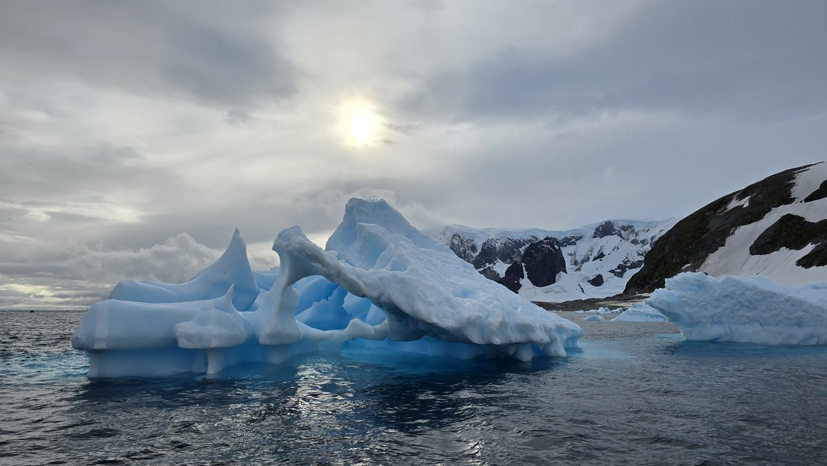 Robin K. Triplett tweet media