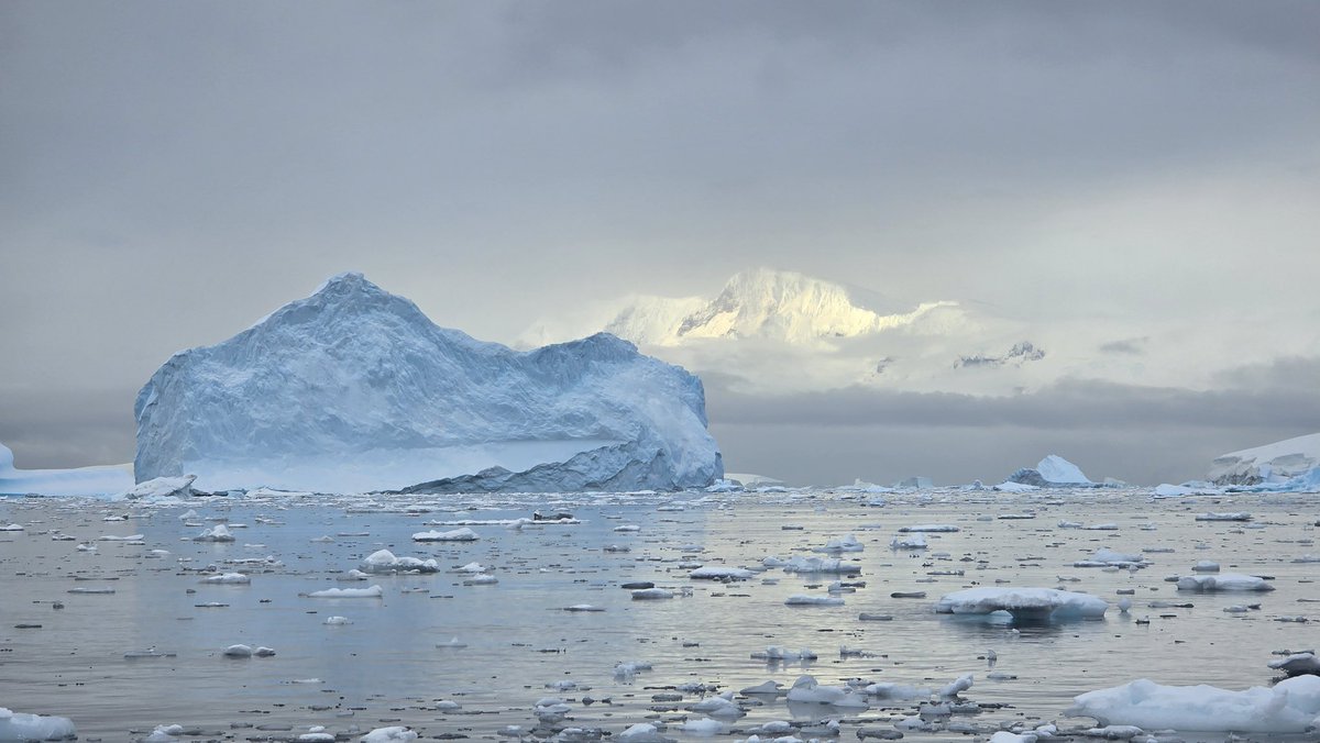 Robin K. Triplett tweet media