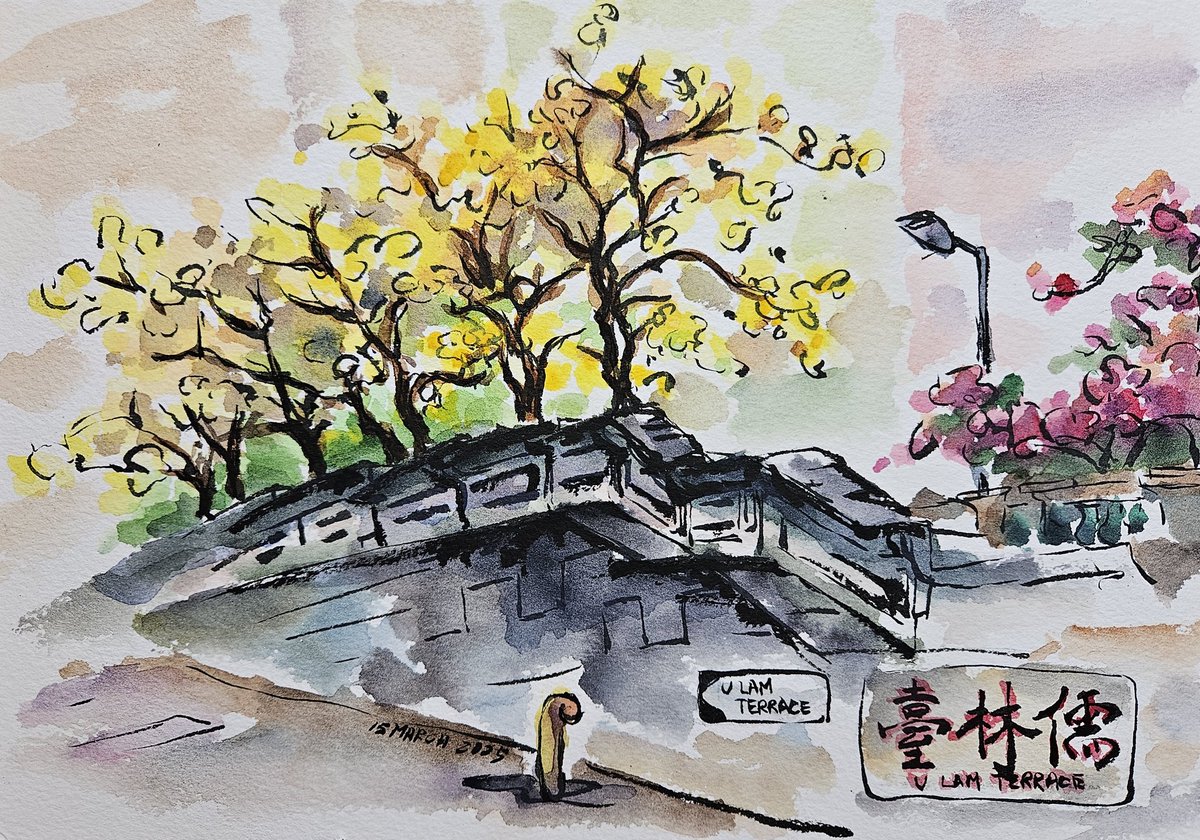 idatsestudio's tweet photo. #YellowPui @ #ULamTerrace
The flowers have already fallen a lot on Friday.
#黃花風鈴木 #黃鐘木 #goldentrumpettree #TabebuiaChrysantha #spring
#trees #treesketch #儒林臺
#usk #uskhk #urbansketchers
#watercolour #watercolourart #watercoloursketching #cityscape #locationsketch https://t.co/TbFLXtozFX