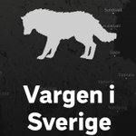 Photo by SVT Datajournalistik (@svtdataj)