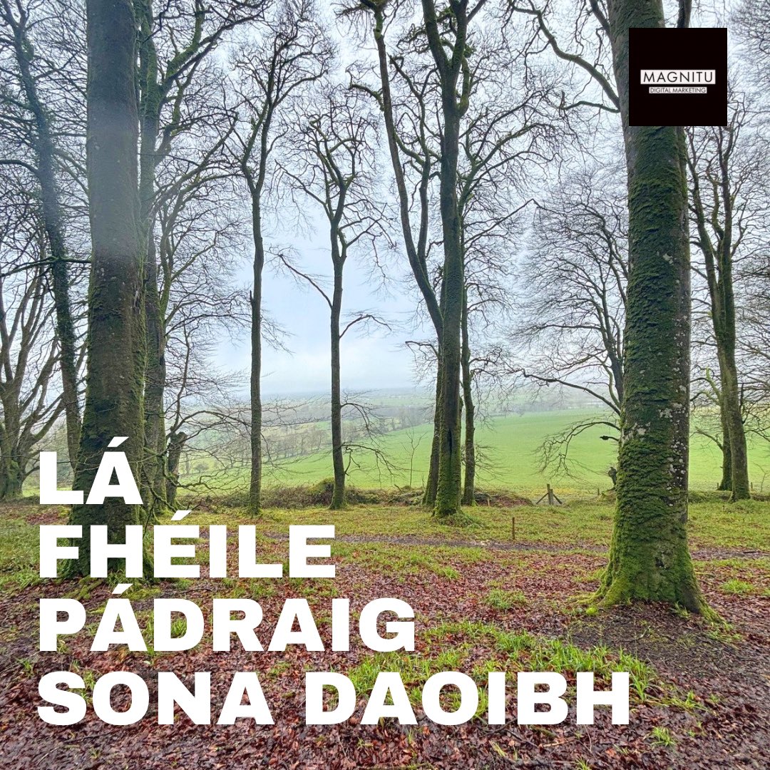 magnitudigital's tweet image. ☘️