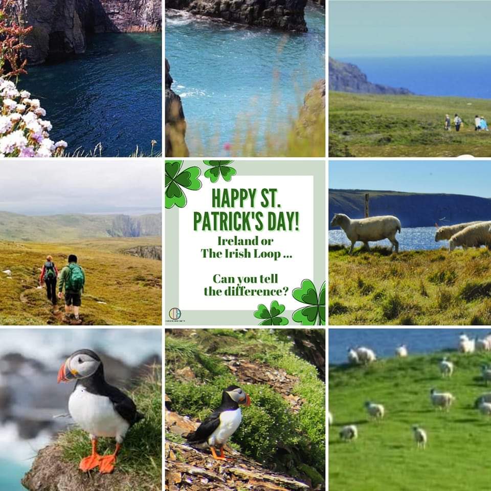☘️ Ireland or the #IrishLoop? Can you spot the difference? ⁉️ Between the culture, or landscapes and wildlife, when you visit us you'll be impressed with how similar we are. It's #StPatricksDay 365 days of the year here! #exploreNL #Newfoundland #Labrador #jointculture