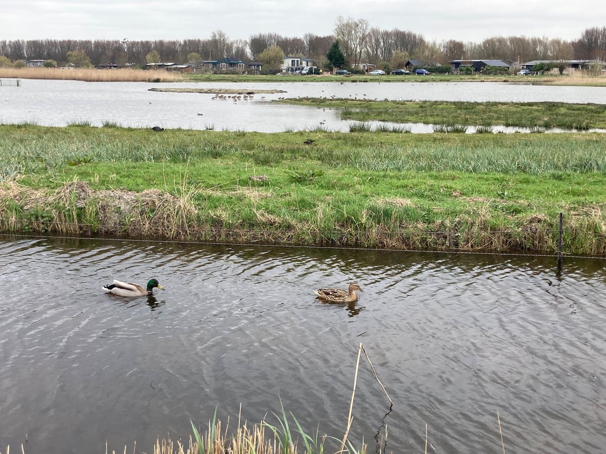 JCRuigrokStichting tweet media