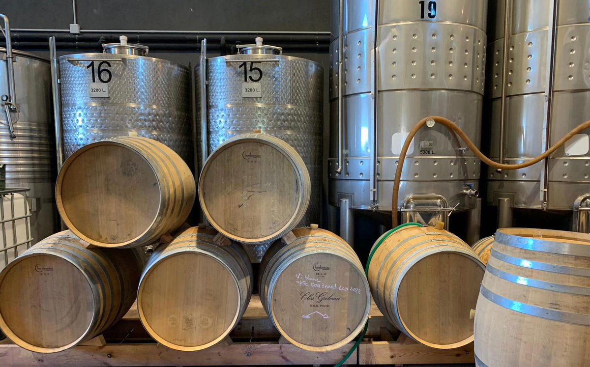 ClosGalena's tweet photo. 🍷 La criança dels nostres vins es porta a terme durant mesos en bótes de roure francès i americà, que deixen la seva empremta en els vins. 

🔝 Apliquem una viticultura respectuosa i sostenible; la nostra cuidada elaboració persegueix l’autenticitat. https://t.co/ZcyvZP0VlF