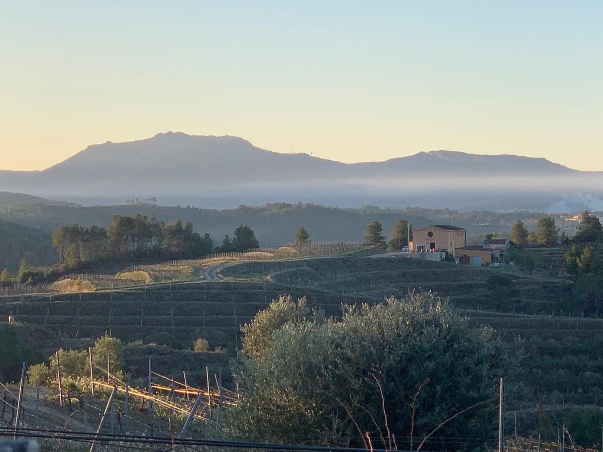 ClosGalena's tweet photo. 🍷 La criança dels nostres vins es porta a terme durant mesos en bótes de roure francès i americà, que deixen la seva empremta en els vins. 

🔝 Apliquem una viticultura respectuosa i sostenible; la nostra cuidada elaboració persegueix l’autenticitat. https://t.co/ZcyvZP0VlF