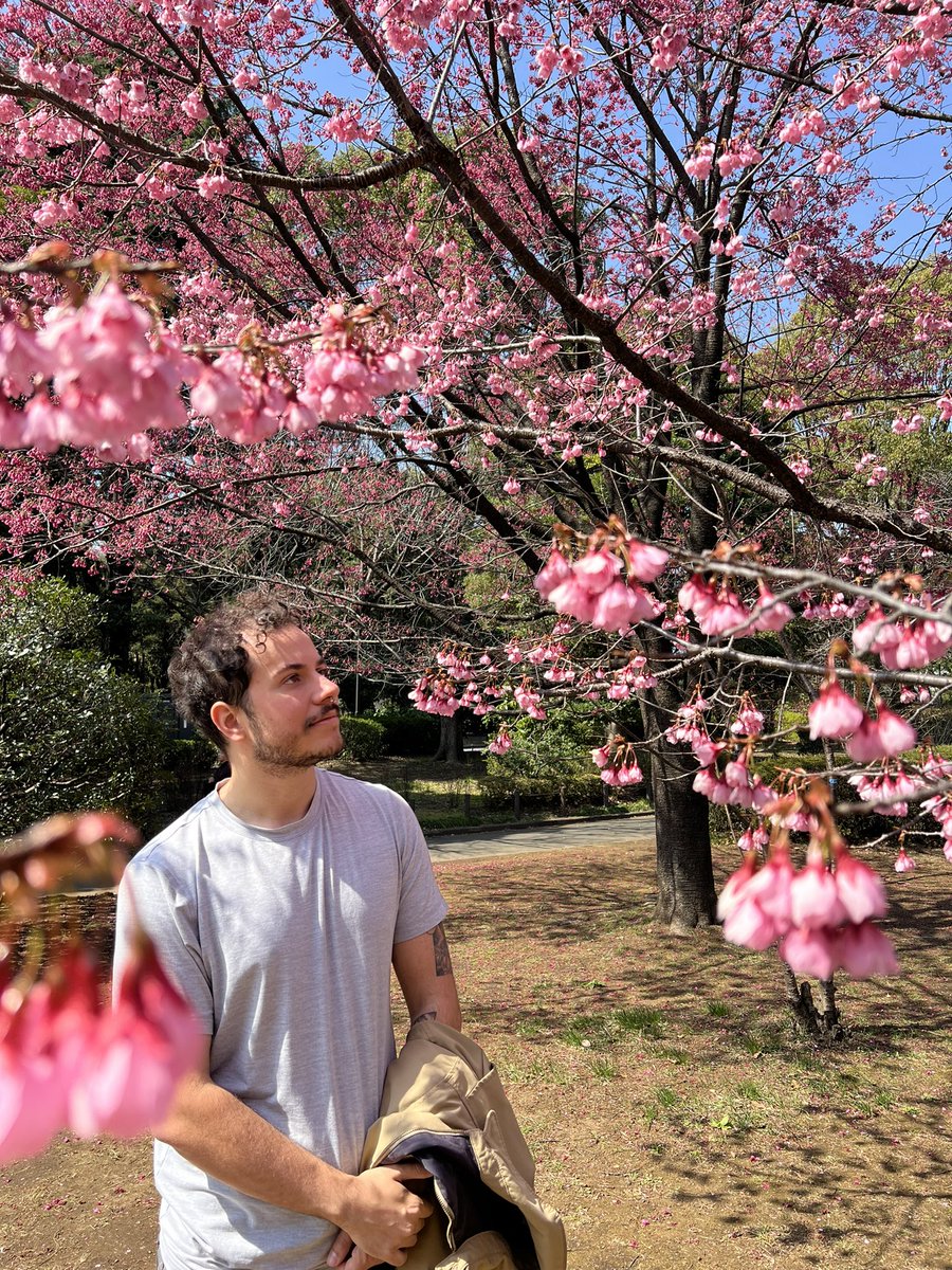 Max_Mylz's tweet photo. Sad to say I’ll be leaving Japan tomorrow, but man this place is so beautiful https://t.co/cU2l4TUR3u