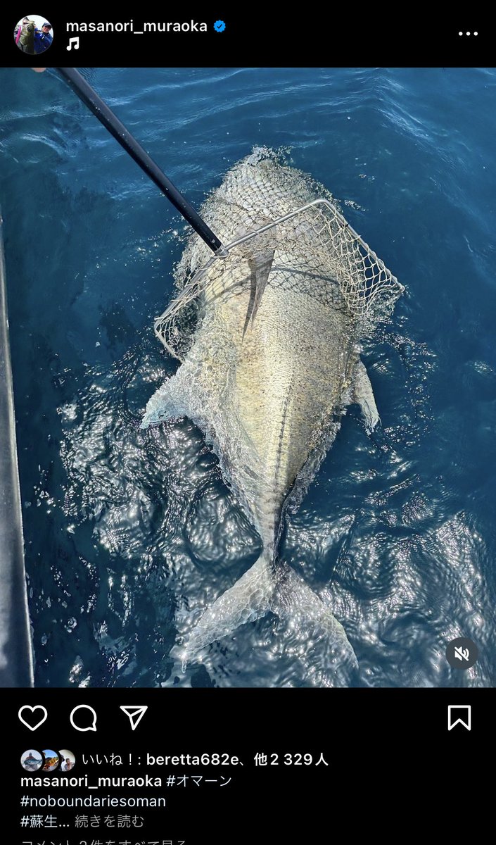 【72kgのGTを救ったお話】
2023年オマーンGT釣行5日目。午前中のセッションを終えてマザーシップに戻る道中、瀬波の中に巨大な何かがバシャバシャと水飛沫を上げているのが目に入った。

「海亀か〜」と思ったその直後、水面に覗いた長いヒレ。

「尾長鮫…?いや、この海域にサメは少ないはずだぞ」