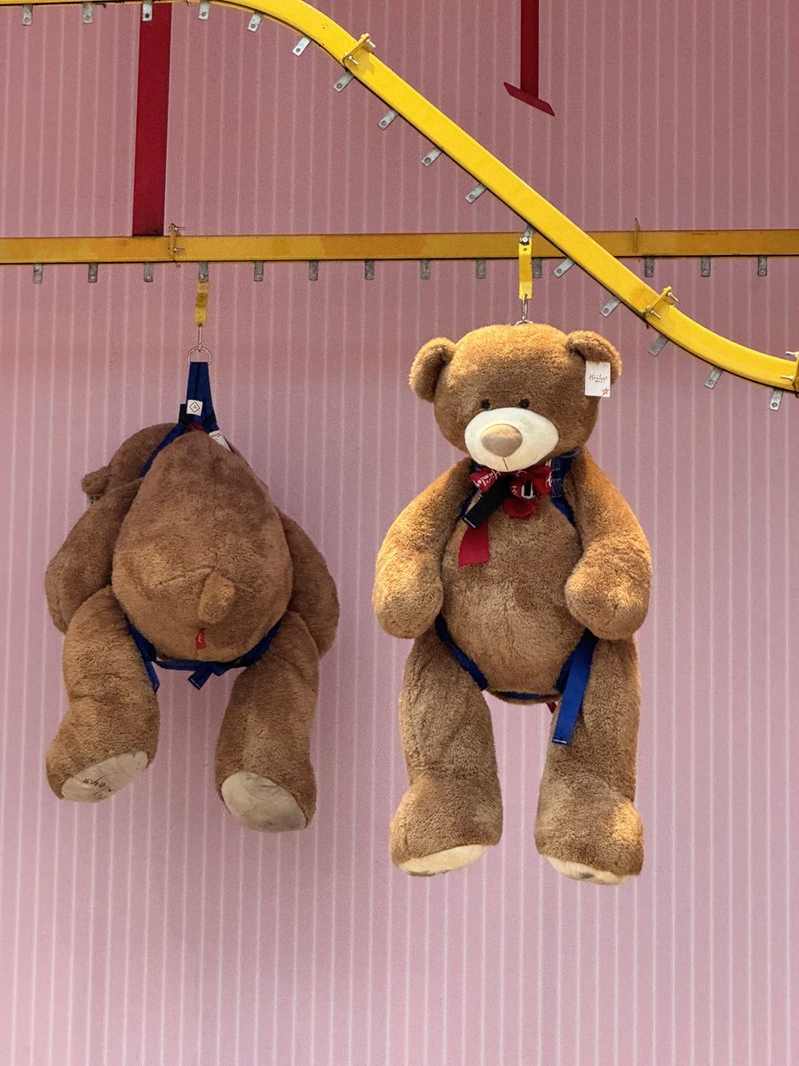 The boys at <a href="/HamleysOfficial/">HamleysOfficial</a> got a message for <a href="/buildabear/">buildabear</a>