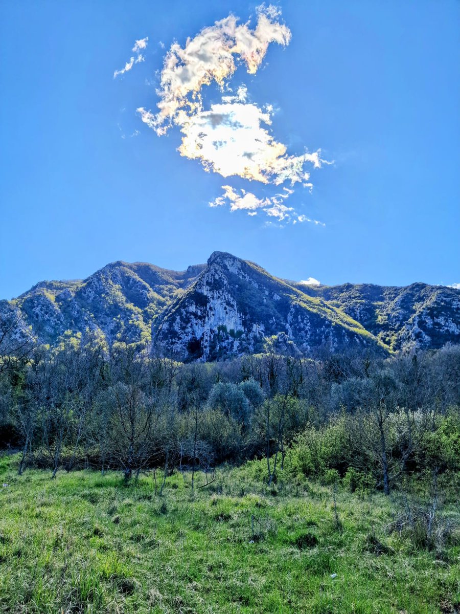 Esplora la bellezza selvaggia del Monte Fammera nel #ParcoAurunci! Buona domenica a tutti gli amanti della natura! 🌲🏞️ #MontiAurunci #BuonaDomenica <a href="/ParchiLazio/">ParchiLazio</a>