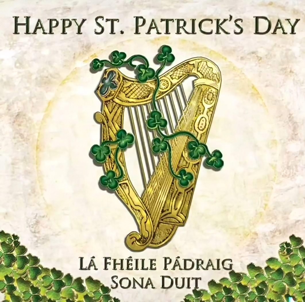 Festive Irish Lady 🎄💚🤍🧡🇵🇸🎅 tweet media