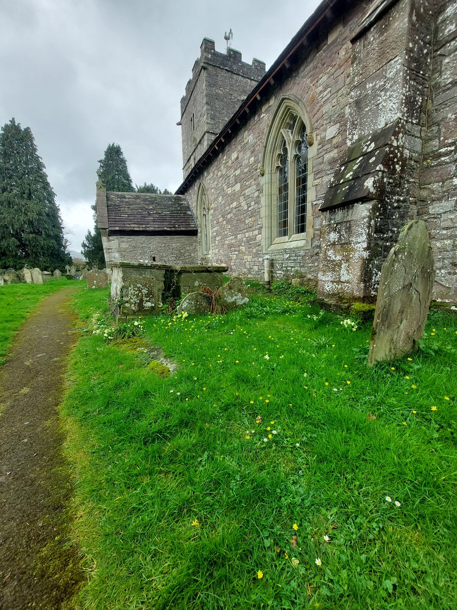 llan_st's tweet photo. It was lovely to welcome @ianrees66 this morning.

Spring is blooming in the churchyard and we are working to increase biodiversity @godsacre @NatChurchTrust
@MChurchcare @MonmouthDCO https://t.co/iMtD97iazT