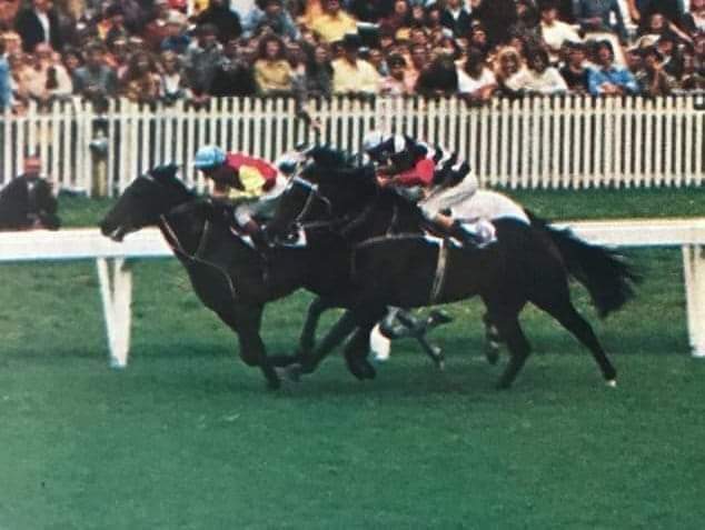 HORSERACING1002's tweet photo. BLETCHINGLY🇦🇺1970
(BISCAY - COOGEE BY RELIC)#Bletchingly https://t.co/C4FzXnvENf