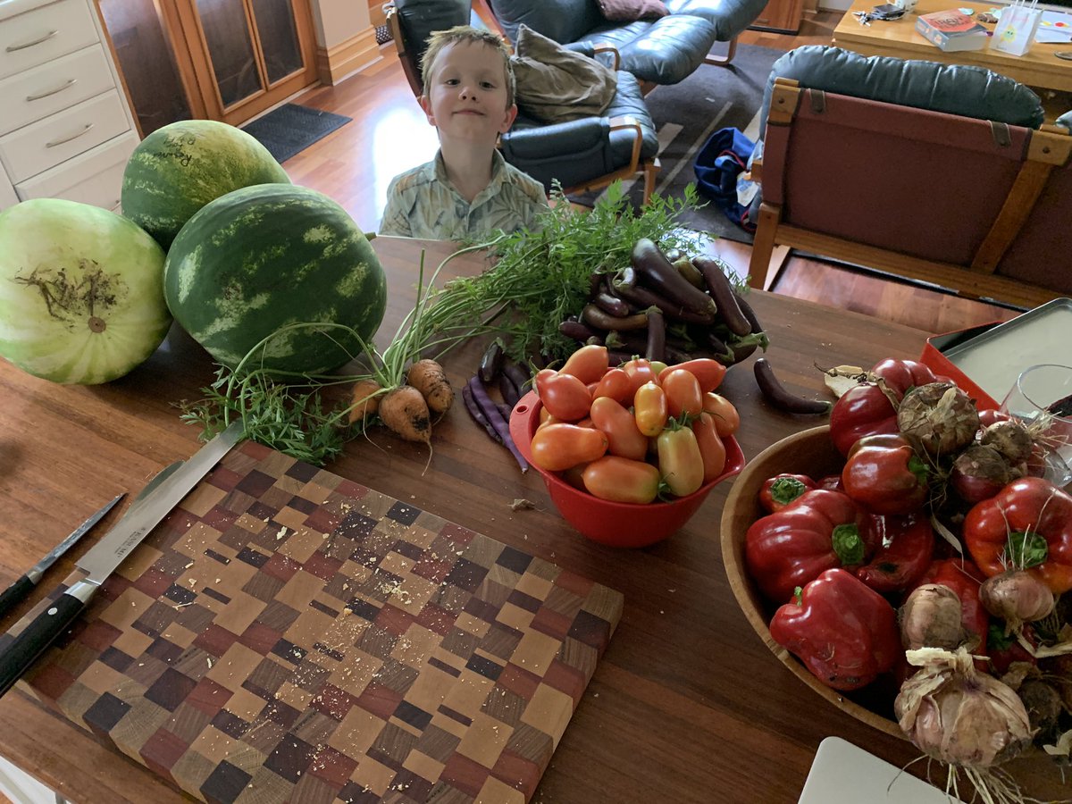 He’s turning into quite the little horticulturist. Helped me sow, tend and harvest this haul. And still more to come…