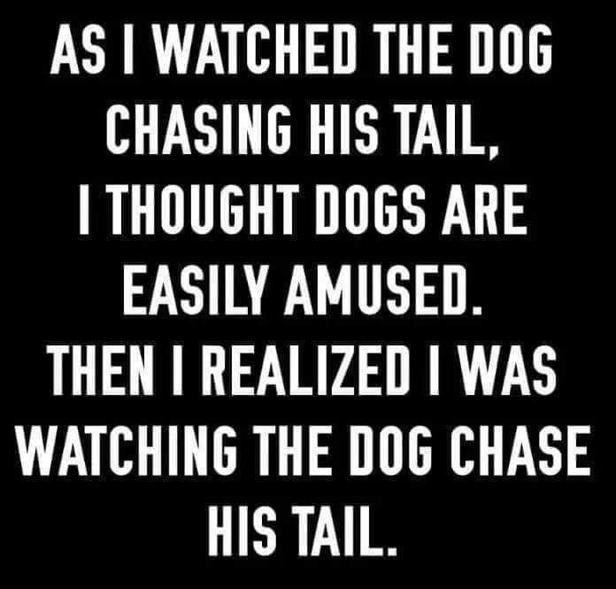 😂😂😂
.
.
.
.
.
.
.
#DogQuote #PetQuotes #PetParent #DogParent #PetParents #PetOwner #DogOwner #PetOwners #DogOwners #DogMom #DogDad #DogLovers #DogLover #PetLovers #CanineLovers #FunnyDogQuotes #DogObsessed #DogObsession #DogCompanion #Tail #DogTail #ChasingTail #DogChasingTail