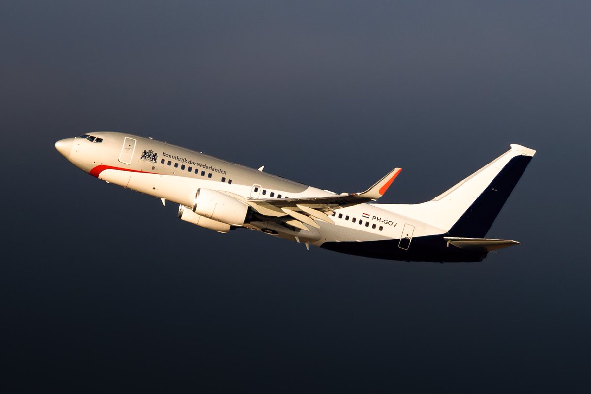 FlyingLord tweet media