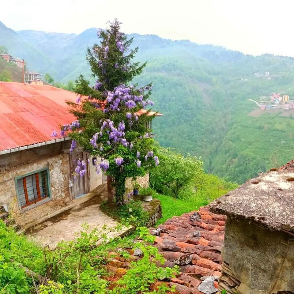 Cennet kokulu Rizem ❤️ Acaba burda olunca dertler unutulur mu ...