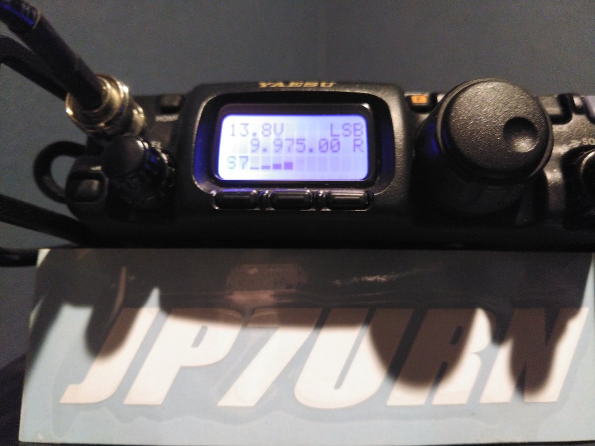 今週もまったりと🌴🎵