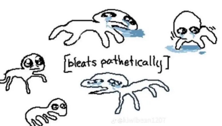 Shrimp tweet media