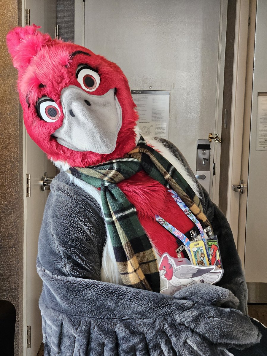 Manu_Koa's tweet photo. Getting ready to be a red-crested cardinal for one last time at Furnal Equinox 2024.

See you downstairs on the convention floor!

#FurnalEquinox #Furnal2024 #FE2024 https://t.co/lBVVoZc54u