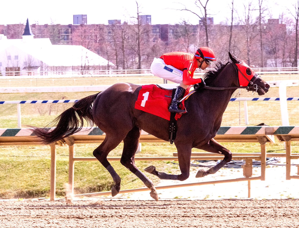Grammy Girl, who showed good early speed in debut at 7F, leads all the way in 1 1/16M MSW @LaurelPark and wins easily under @VCarrasco28 for trainer @depazracing. 3YO Mastery filly owned by @redstormstable & Flower Power Stables. (Jim McCue 📷)
