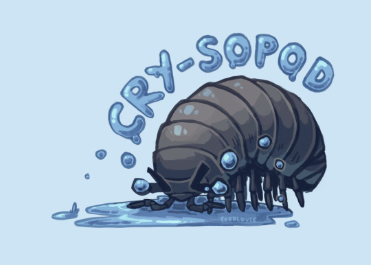 an isopod doing his best...!