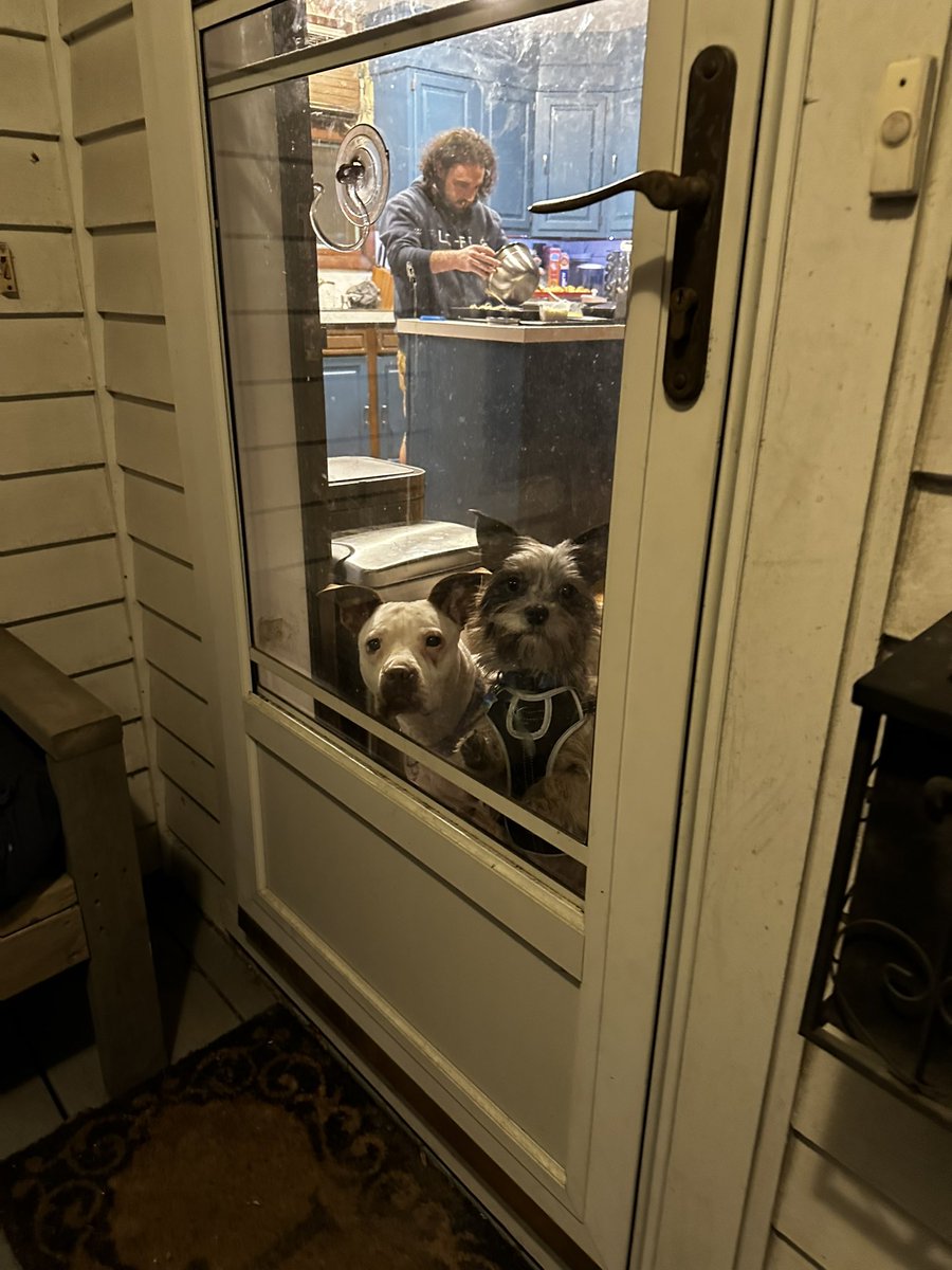 whorislutton's tweet image. came home last night to two little sweeties waiting for me and another one cooking me dinner are u fucking kidding me