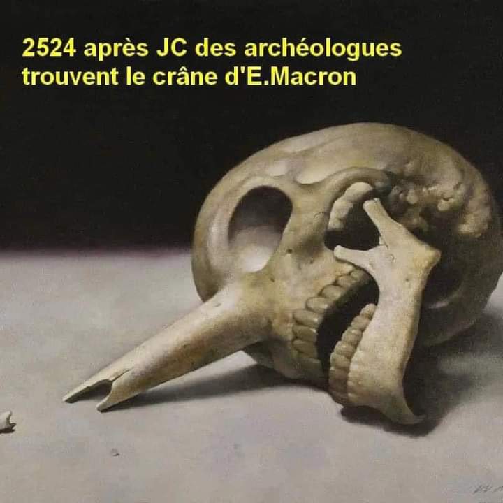 Comment vous dire... tweet media
