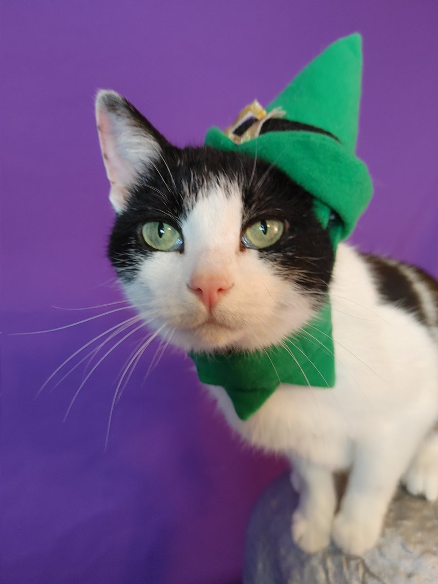 13TH PURRTHDAY!!!!!!

#JAXACROCAT #ACROCATS