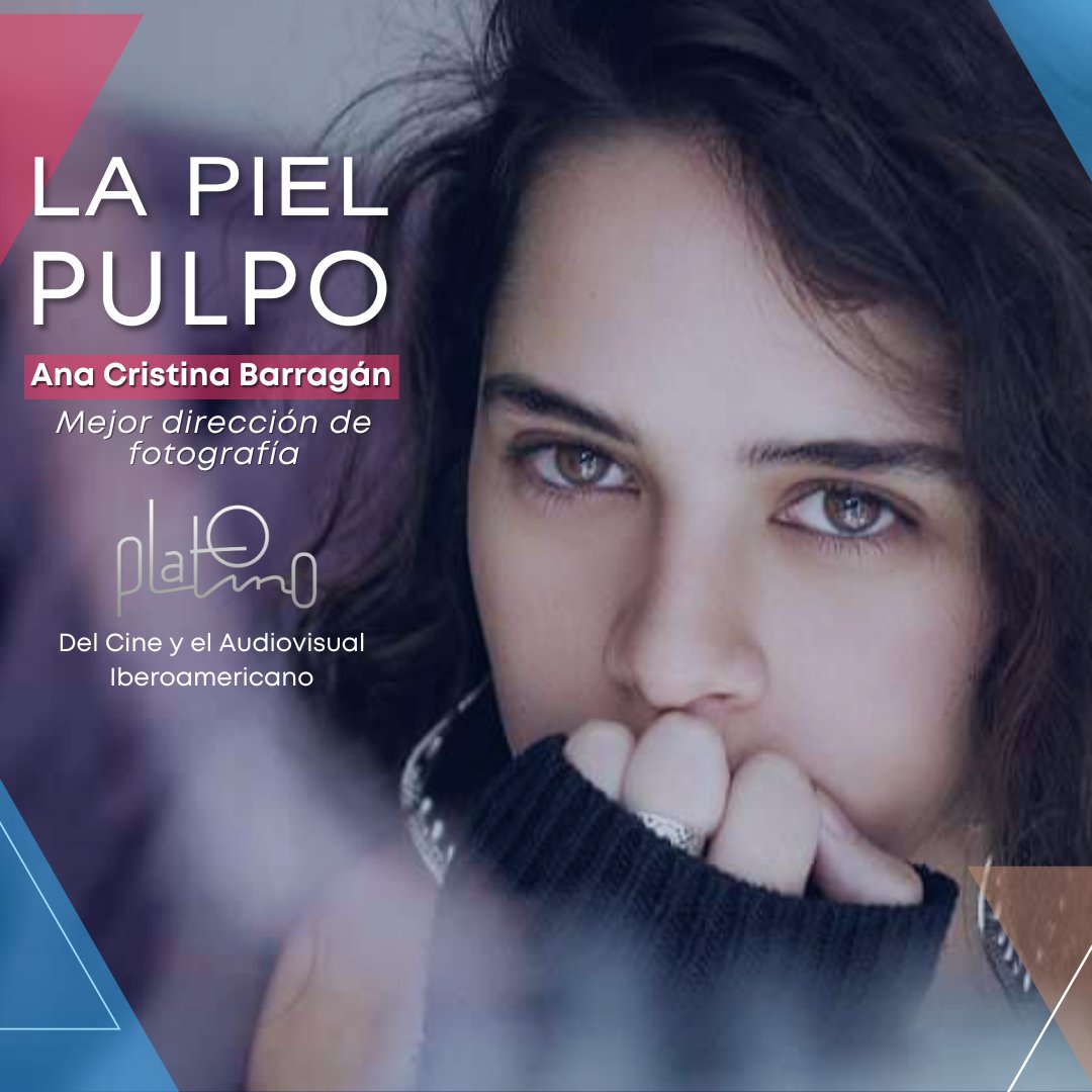 ¡Histórico para el cine ecuatoriano! "La Piel Pulpo" iluminará los premios Platino en la categoría mejor fotografía. Dirigida por Ana Cristina Barragán, miembro de la COPAE, y con la brillante cinematografía de Simón Brauer y Tomás Astudillo 
🇪🇨🏆 
#LaPielPulpo #PremiosPlatino
