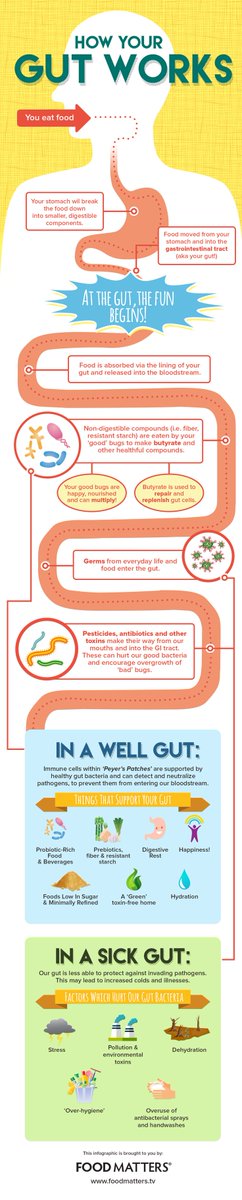 GutTalksWithRoz's tweet photo. What are the gut health essentials?   Here's a quick breakdown! #guthealth #sundayvibes #Trending https://t.co/pD7dd8c3LA