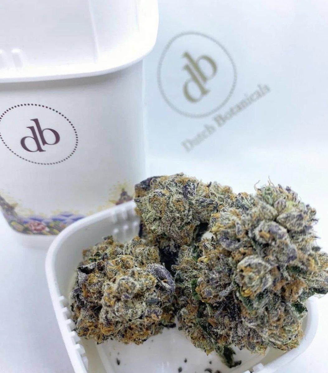 SimplyPureMJ's tweet photo. 🌄🌿It's Living Soil Sunday! Get 1⃣0⃣% off on #DutchBotanicals infused flower, grams and carts! Snag a DB battery for just 1⃣¢ w/purchase of two carts! 🌿🌄
#Denver #cannabis #dispensary #WomanOwned #cannabisindustry #CannabisCommunity #BlackOwned #VeteranOwned #IAmAPurest💚 https://t.co/vCVHoYiwtq