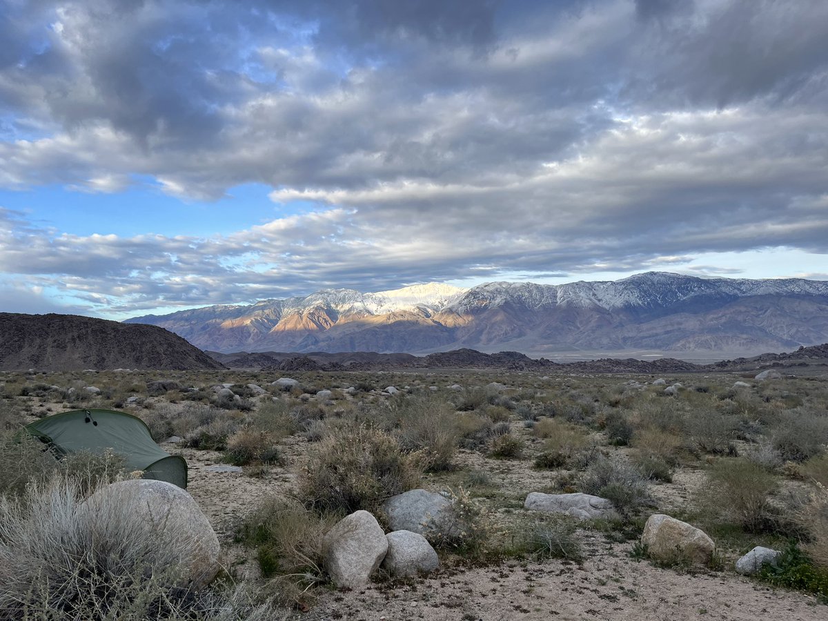 Cornflower🌼 tweet media