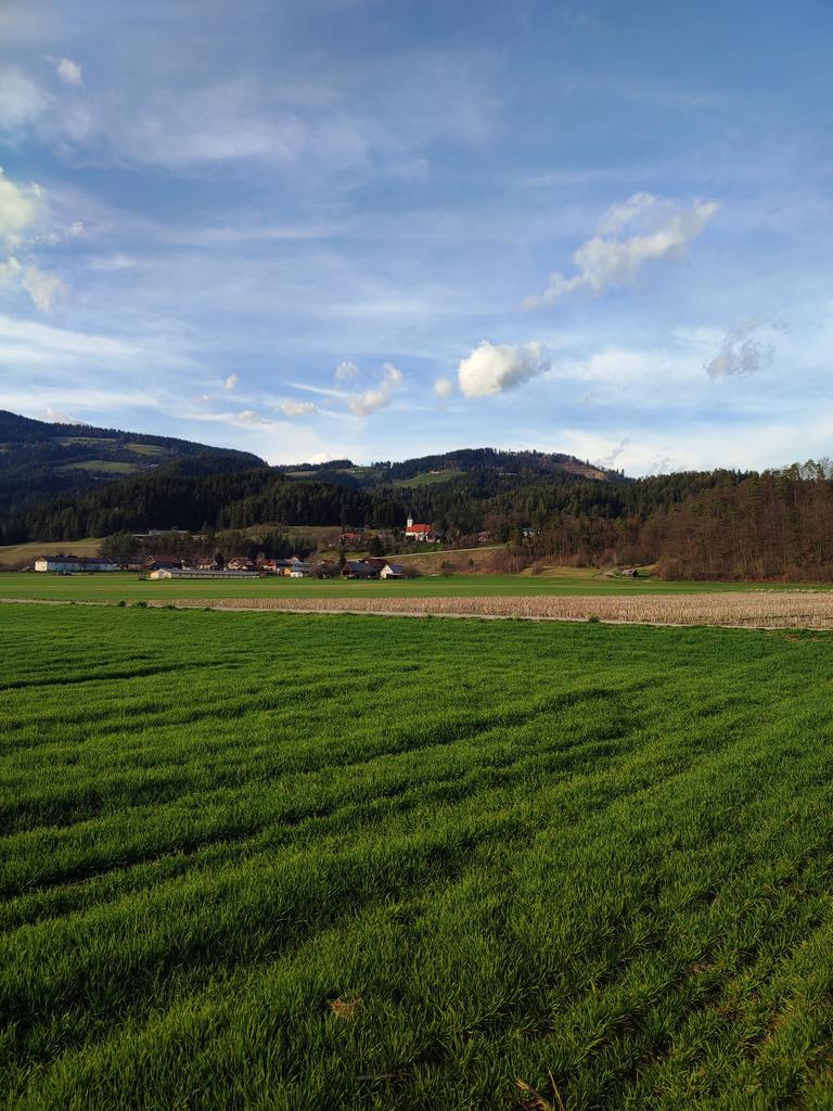 ErikaPlaninsec's tweet photo. Tako utrujena sem popoldan prišla domov, ampak vnukinja #deklicaTaja me je vseeno naprosila, da sem šla z njo...
Hodili sva in vpijali nje prelesti #rodnagruda 🇸🇮🌤️ https://t.co/n4KL0FRZnq