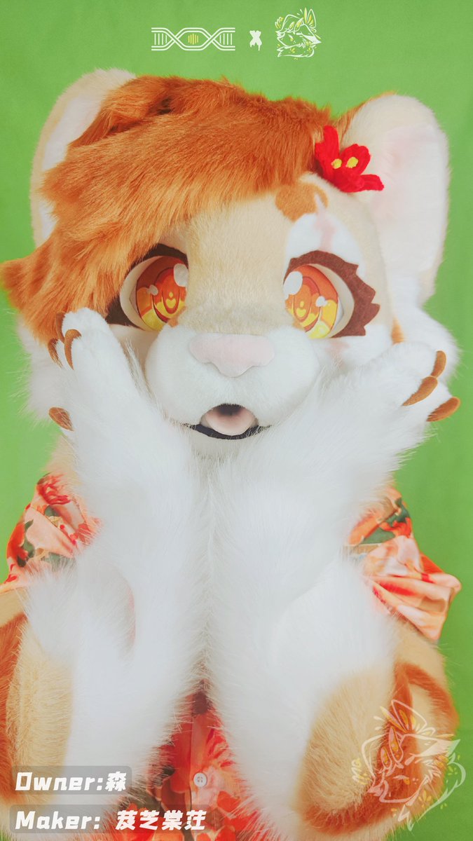 这两张忘记发！乖乖小虎！🐅🌺🐅
拥有者<a href="/Mori_Zhousui/">柯基森「mori」</a>