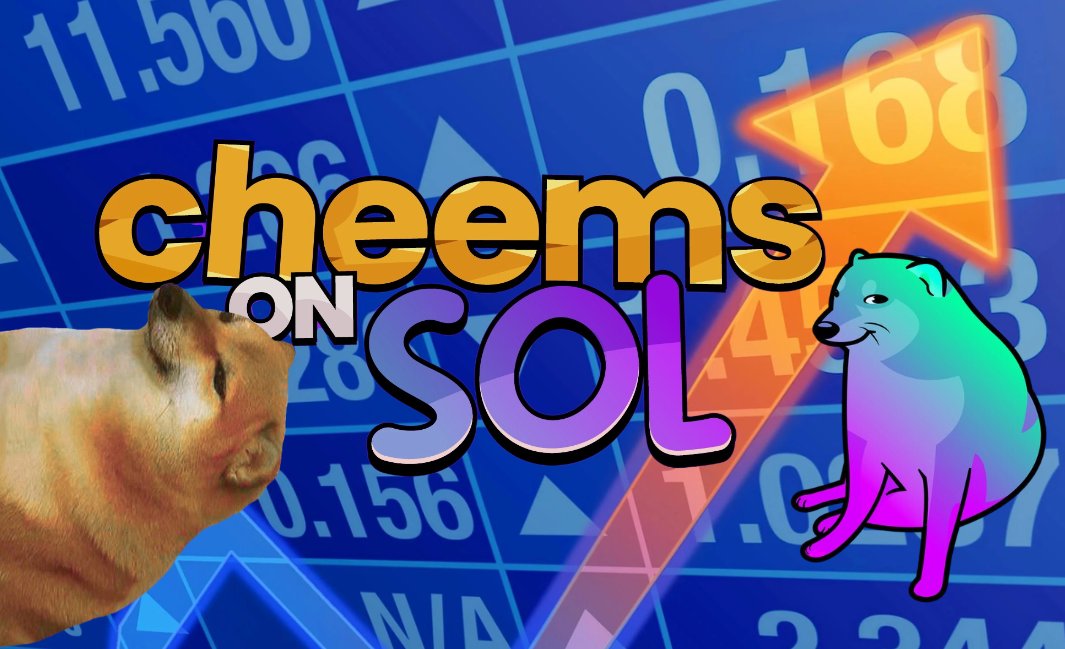 Vanny.sui tweet media