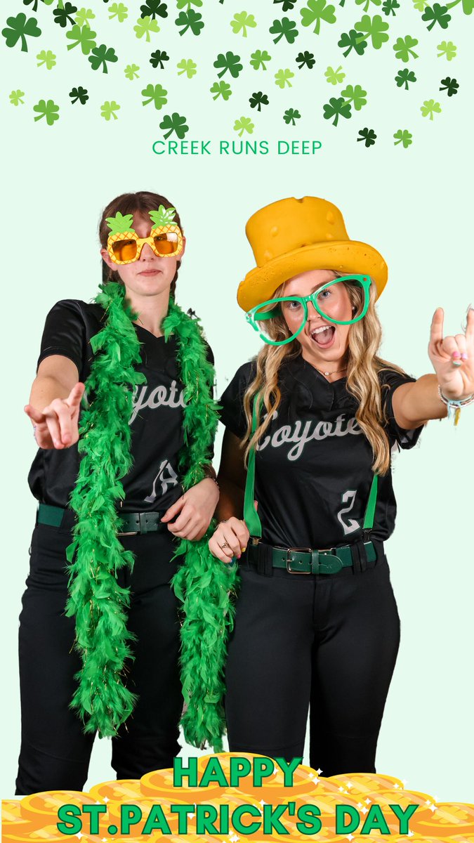 Cypress Creek High School Softball tweet media