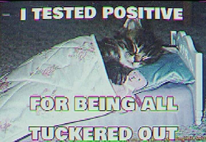 So...I think it's time we talk about what happened Last Night...It was Amazing...It was Magical..It was Mythical...This whole weekend has been ...Well...Words can not really describe it....And there is 3 more days to go...I hope you drink some water...Keep yourself hydrated...