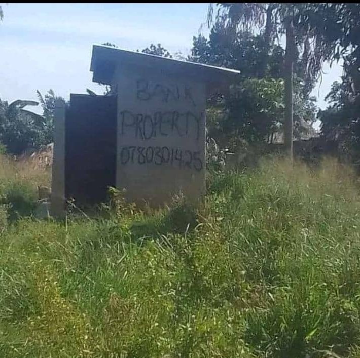 We try again tomorrow 👍👍👍