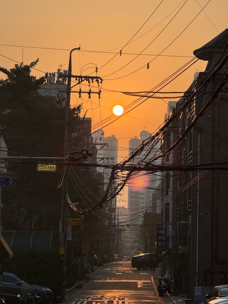 plediskwane's tweet photo. Looks like a fine day in the making. 🦜 https://t.co/P8yz5ieEyQ