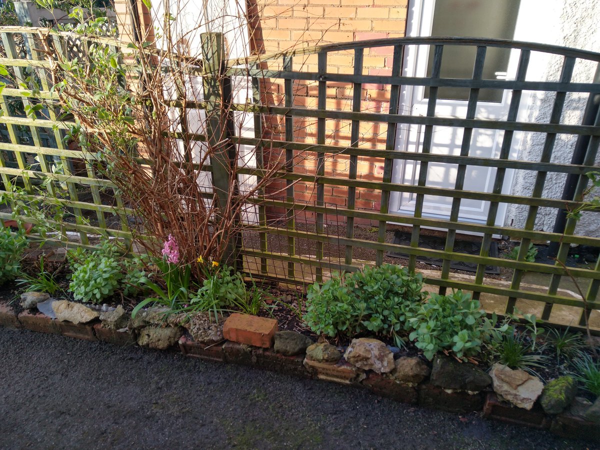 I was sat inside listening to the #WPLFinal on #bbccricket when I realised it was sunny and not raining! So I went outside and did some actual gardening in my own garden! 😱 It was good 😊