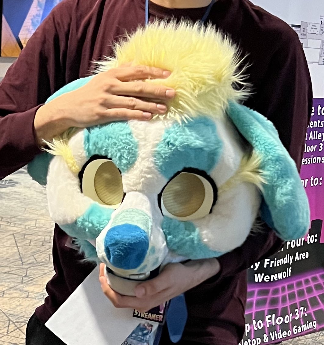 ppl kept cheering @ me of the great news that he’s been found, the description they told me it was in a plastic bag and thrown in the hotels parking lot dumpster. It shows that thieves show absolutely no remorse and are completely heartless. Thank you @FurryFiesta …